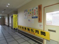 IMG_0001.JPG
