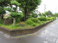 IMG_0006.JPG