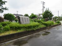 IMG_0008.JPG
