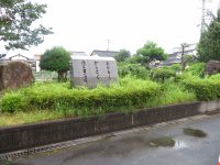 IMG_5804.JPG