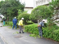 IMG_5857.JPG
