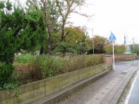IMG_6620.JPG